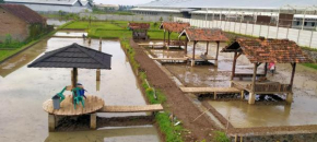 Kosan H Bambang